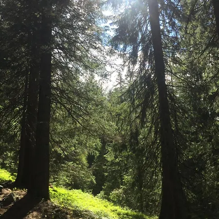 公寓 Un Nido In Centro